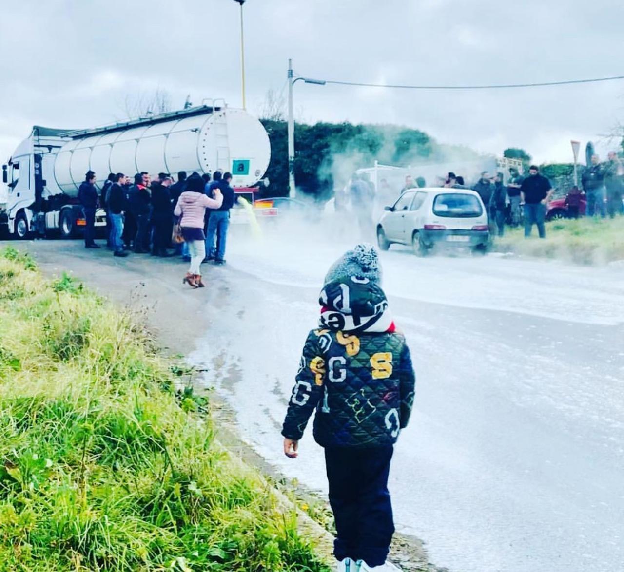 Protesta del latte, prosciolti dodici pastori