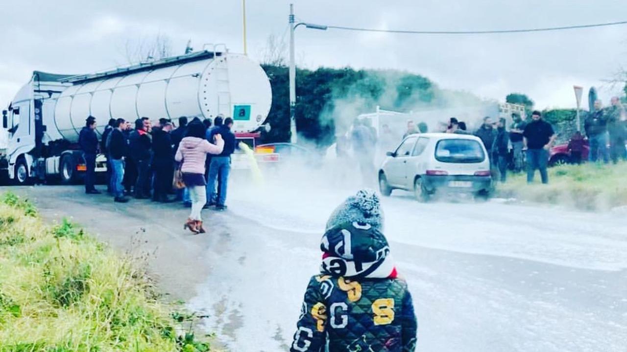 Protesta del latte, prosciolti dodici pastori