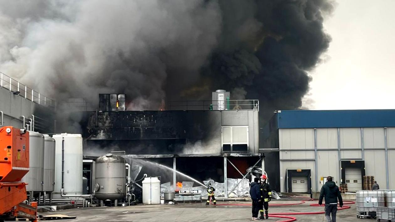 Rogo nell’azienda di prodotti ittici ad Ariano Polesine, pompieri al lavoro