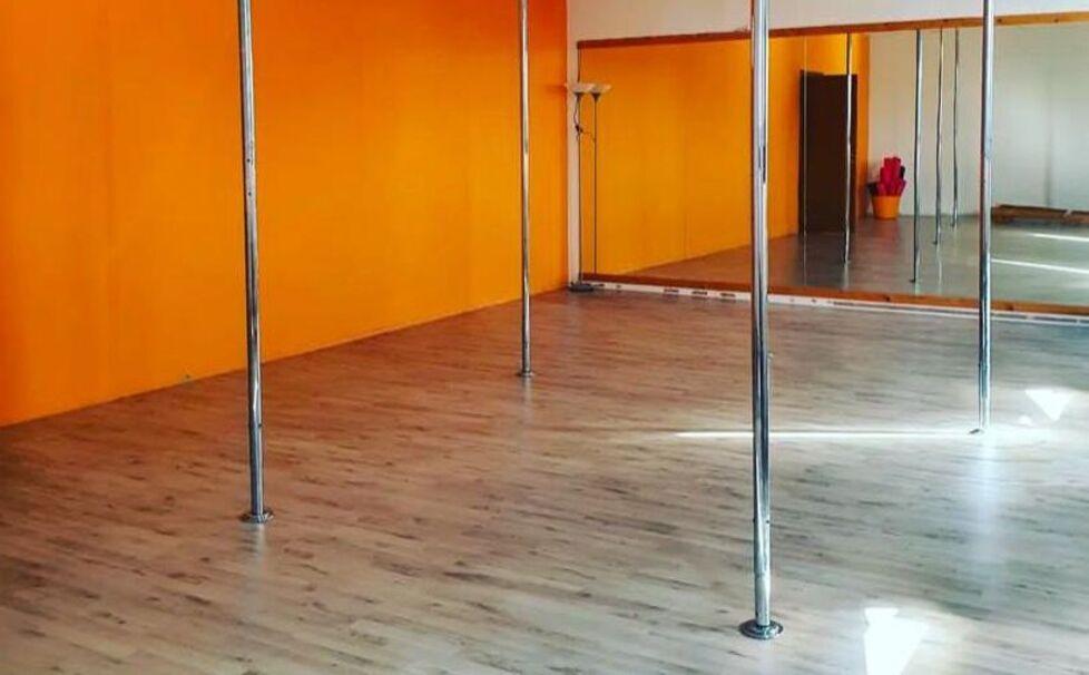 Pole dance, quanti pregiudizi. Sharise, 16 anni: sport per tutti