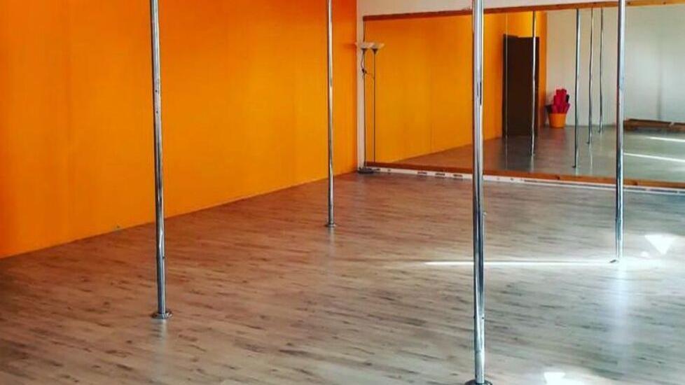 Pole dance, quanti pregiudizi. Sharise, 16 anni: sport per tutti
