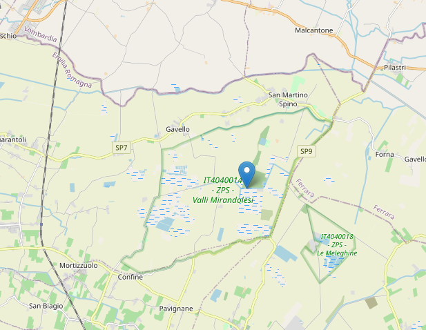 
	L'epicentro della scossa di Mirandola (Fonte: OpenStreetMap)

