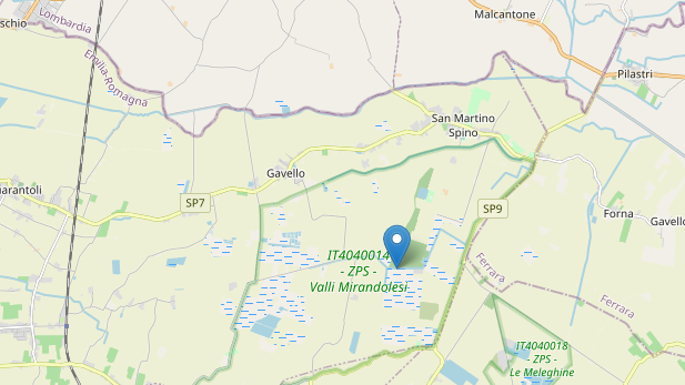 L'epicentro della scossa di Mirandola (Fonte: OpenStreetMap)