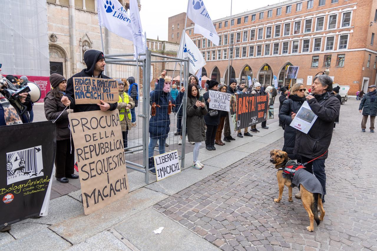 Macachi, protesta in piazza a Ferrara con ragazza in gabbia