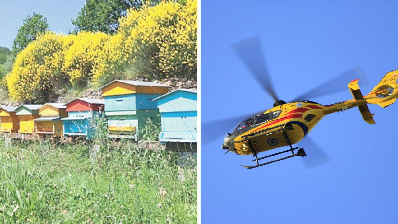 
	Delle arnie di api e l'elisoccorso (foto d'archivio)

