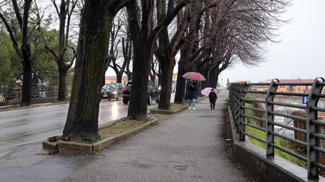 Pisa, uno dei luoghi dove sono avvenuti gli attacchI (foto Stick)