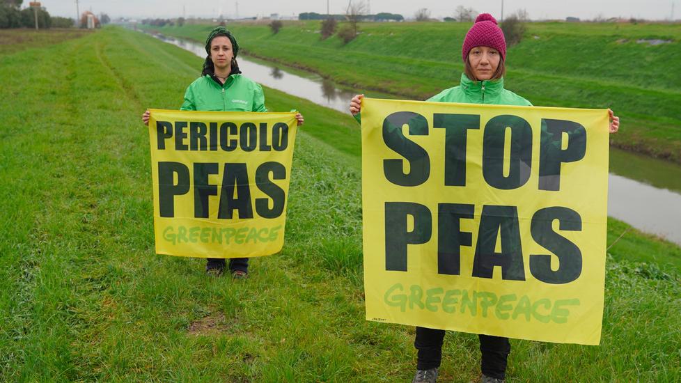 Militanti di Greenpeace durante una manifestazione di sensibilizzazione