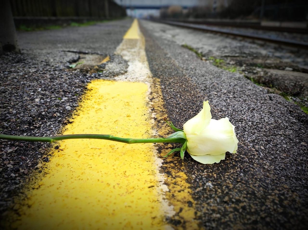 
	Fotografia artistica realizzata da Luca Scaglione, professore del liceo XXV Aprile di Ponteder

