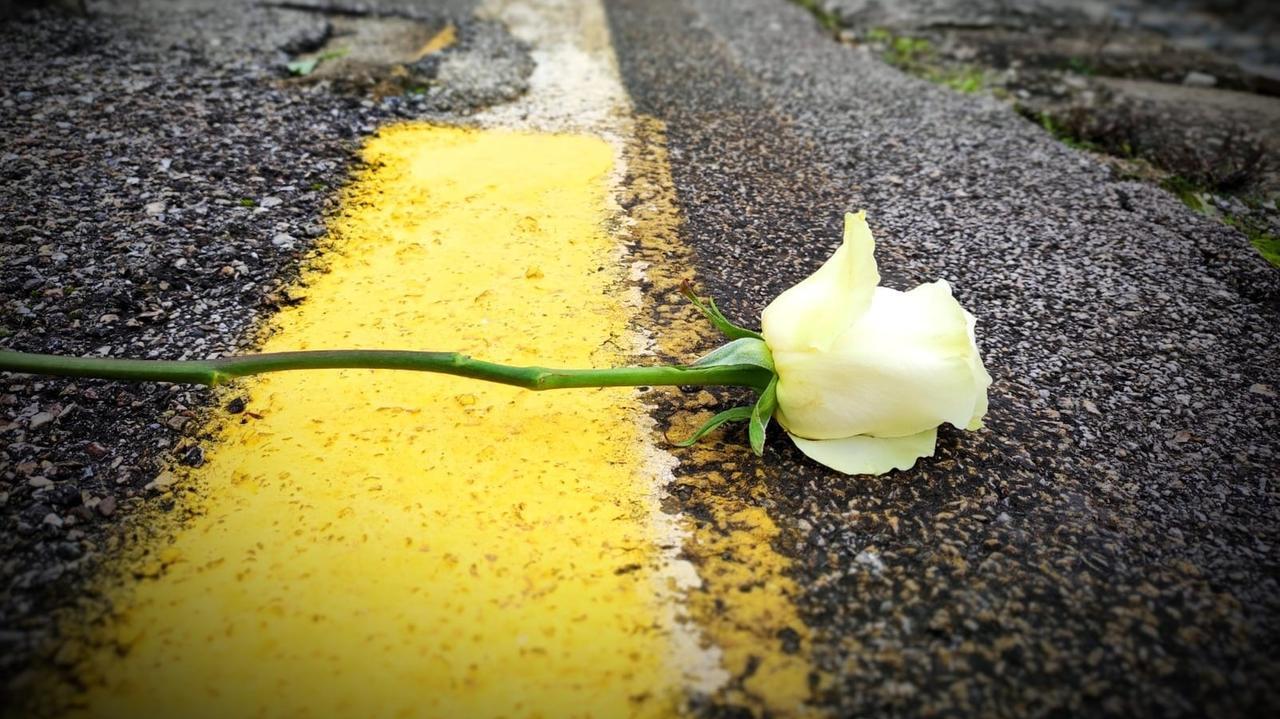 Fotografia artistica realizzata da Luca Scaglione, professore del liceo XXV Aprile di Ponteder