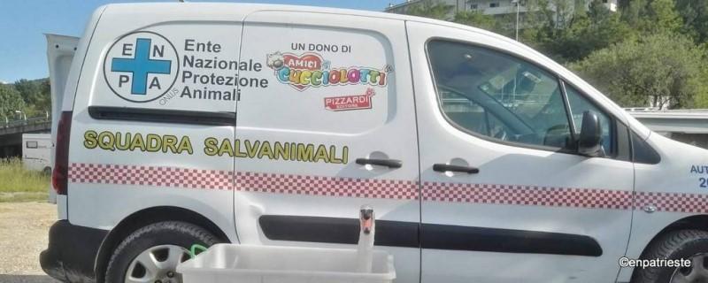 Appello di Enpa: «Il nostro furgone ha smesso di funzionare, aiutateci ad averne un altro»