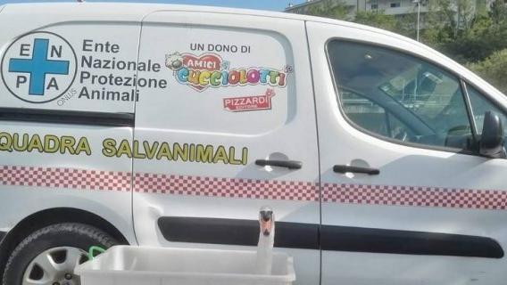 Appello di Enpa: «Il nostro furgone ha smesso di funzionare, aiutateci ad averne un altro»
