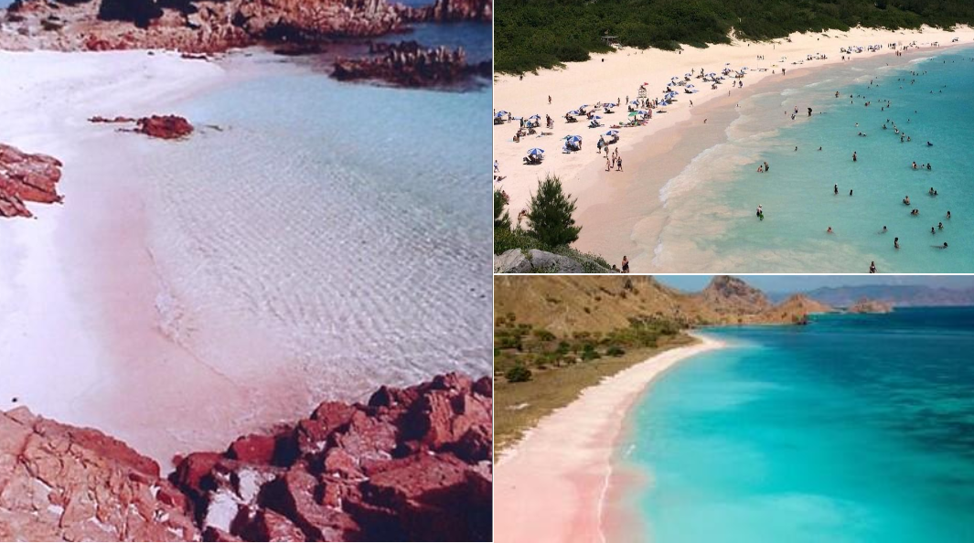 Non solo Budelli, ecco le spiagge rosa che fanno concorrenza alla Sardegna