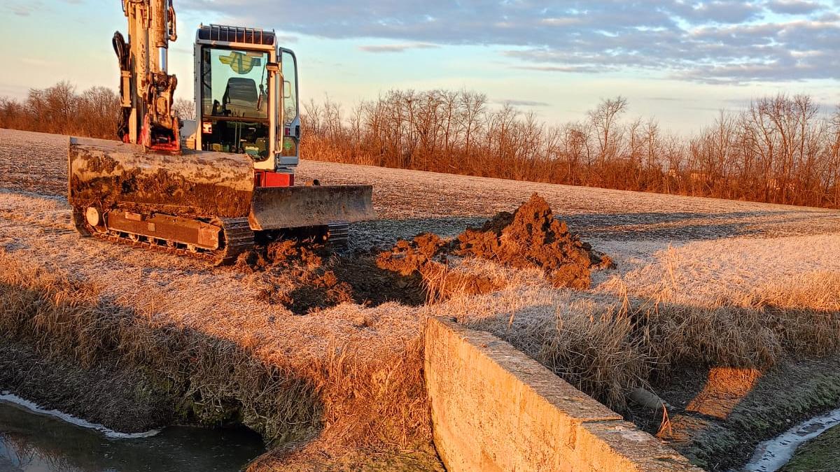 Ultimati i lavori del Consorzio sull'argine a Bomporto