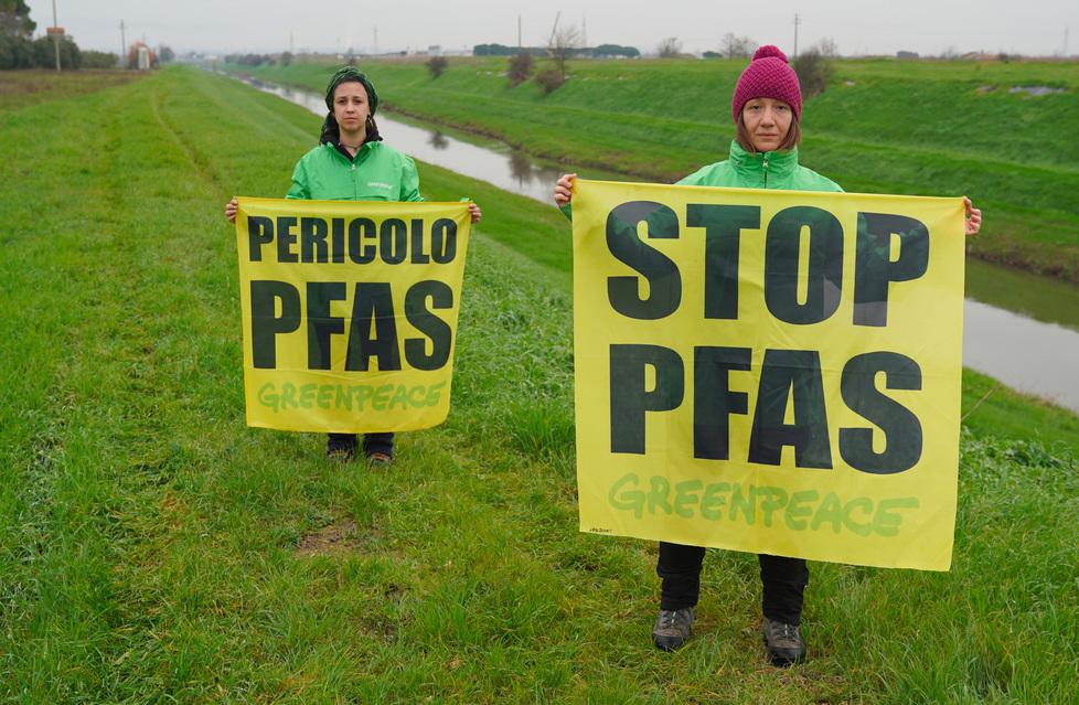 
	Militanti di Greenpeace durante una manifestazione di sensibilizzazione sugli Pfas

