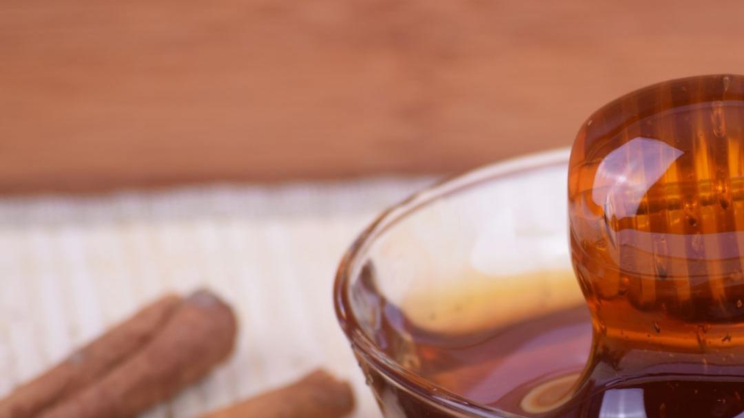 Talea, ecco la tecnica per avere una nuova pianta