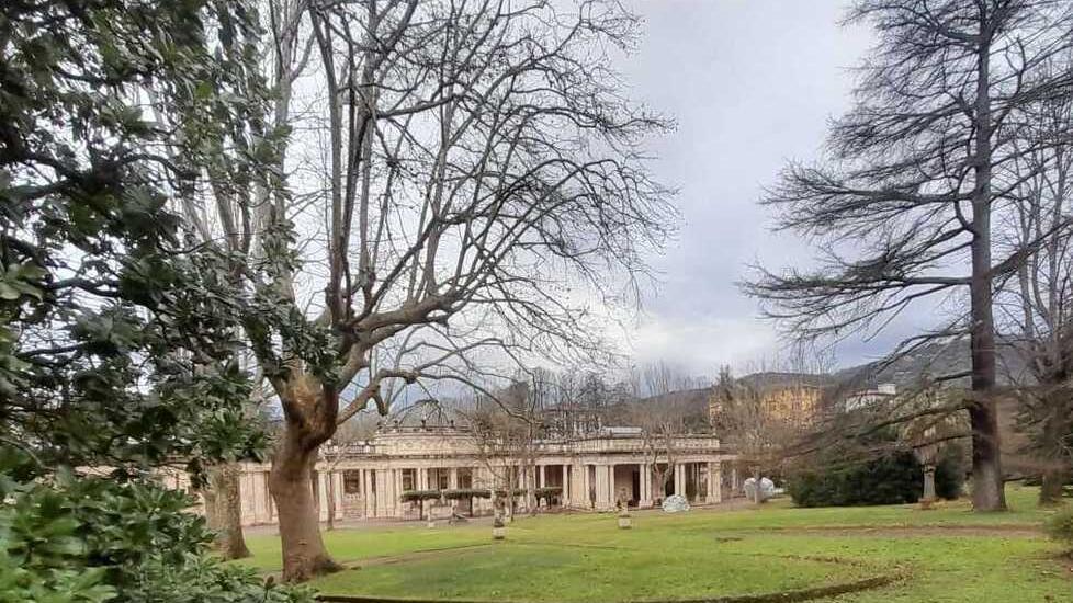 Montecatini, a febbraio i controlli nel parco del Tettuccio dopo il cedimento del platano