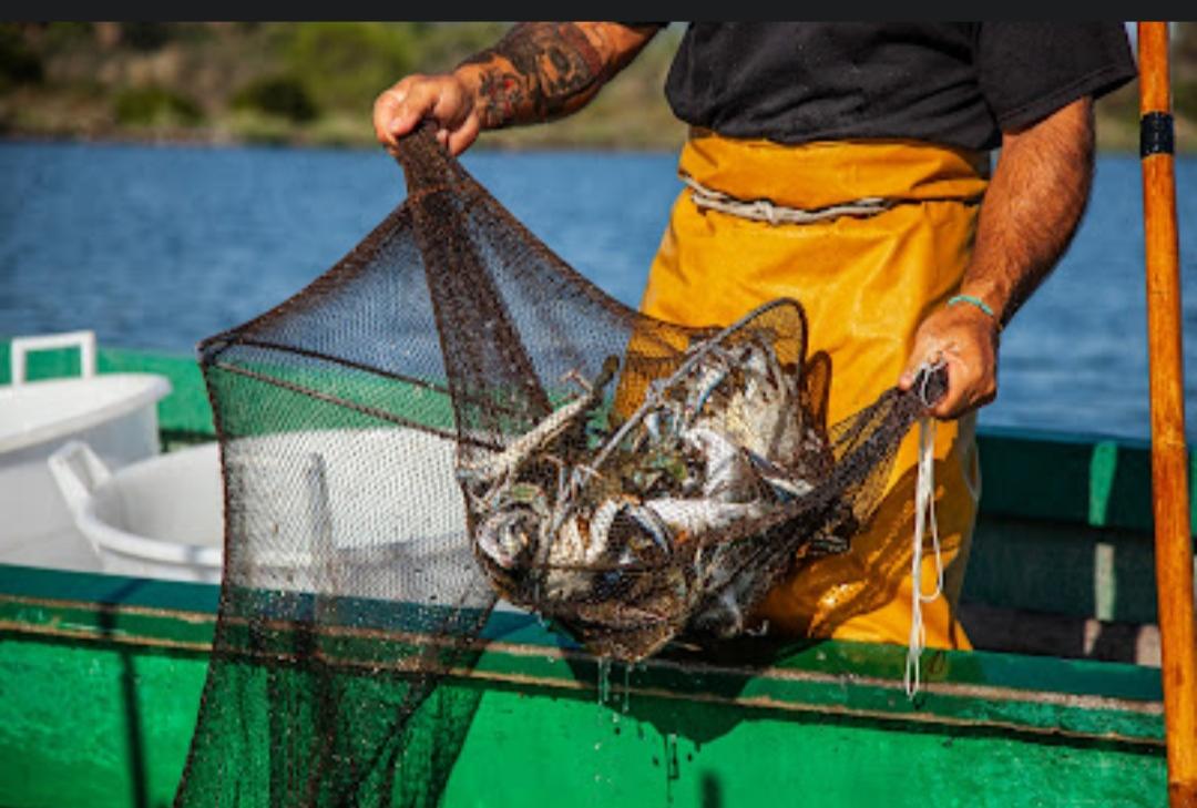 
	I granchi blu pescati in laguna<br />
	&nbsp;

