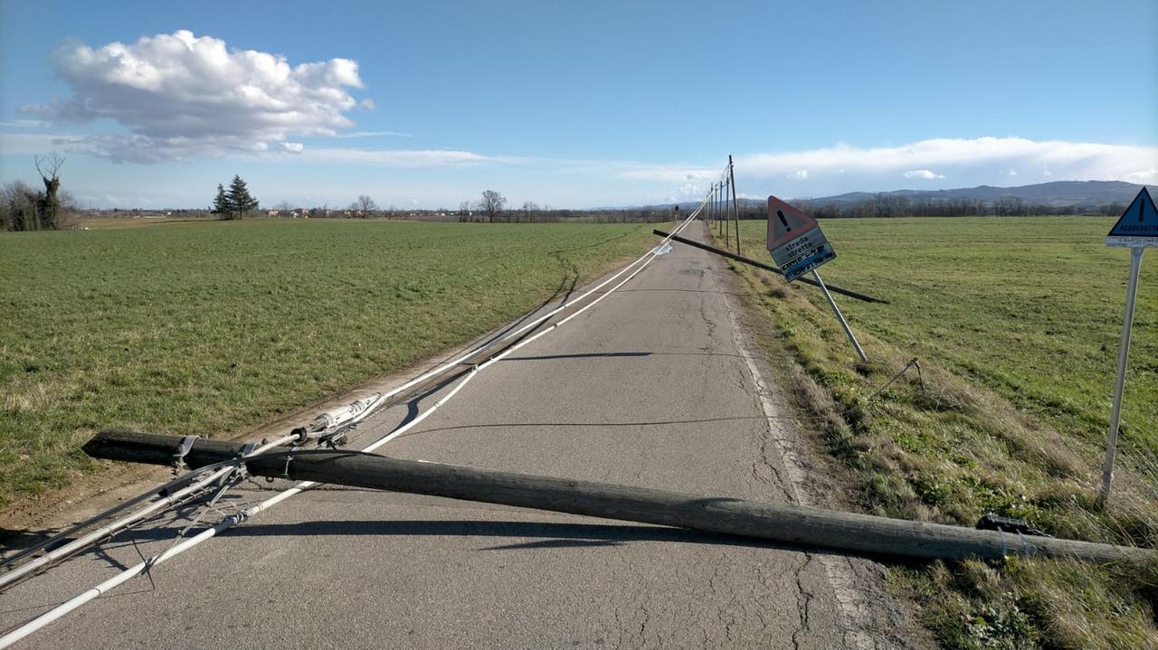 Vento forte, alberi e tralicci caduti. Strade chiuse, capannone scoperchiato a Bosco