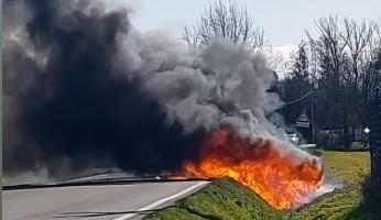 L’auto prende fuoco dopo il frontale: pompiere fuori servizio salva il conducente dalle fiamme