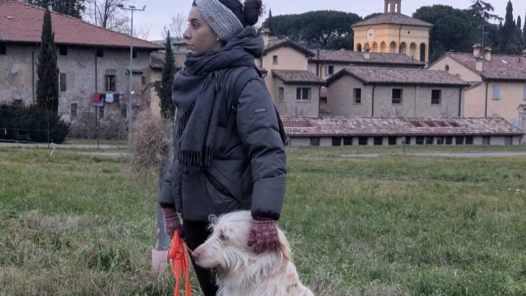 Il cane Leo ha trovato una nuova famiglia: era stato salvato con una colletta a Savignano