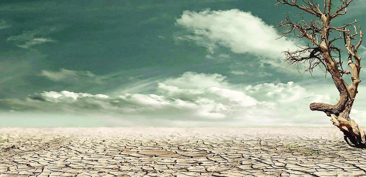 Caldo, lo scenario apocalittico: “Milioni di morti entro il 2099”