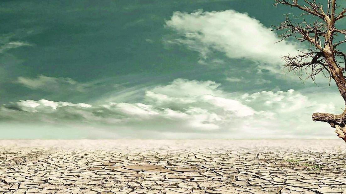 Caldo, lo scenario apocalittico: “Milioni di morti entro il 2099”