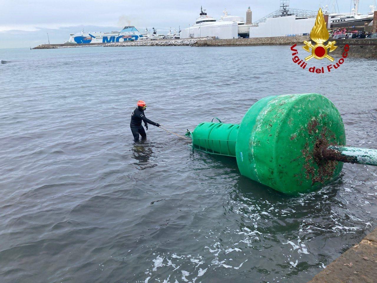 
	La rimozione della meda

