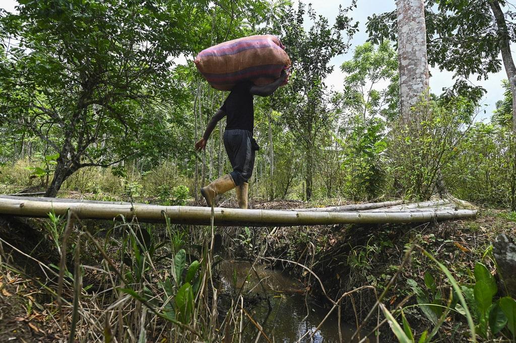 Viaggio in Colombia fra i contadini ostaggio dei narcotrafficanti