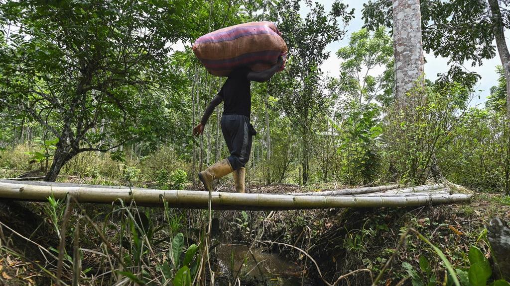 Viaggio in Colombia fra i contadini ostaggio dei narcotrafficanti