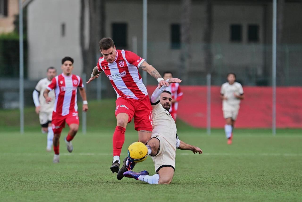 Calciomercato, Molina della Vis Pesaro nel mirino della Spal