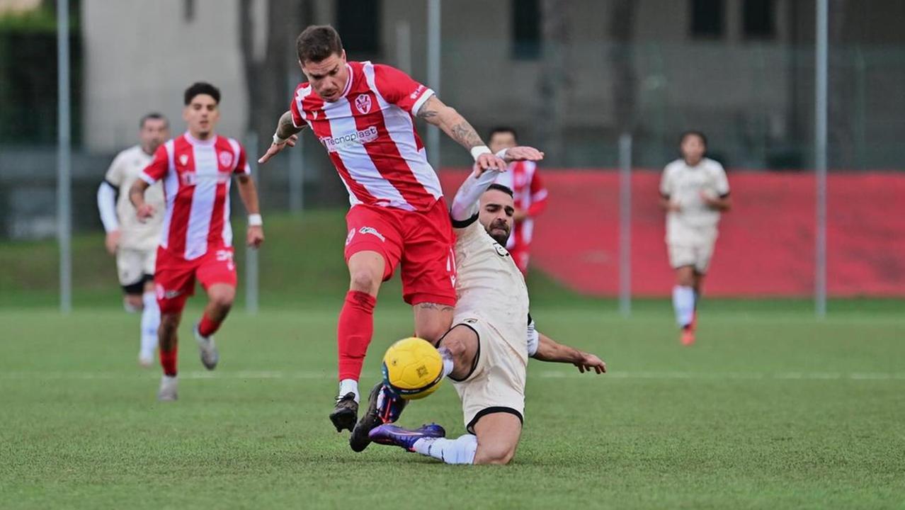 Calciomercato, Molina della Vis Pesaro nel mirino della Spal