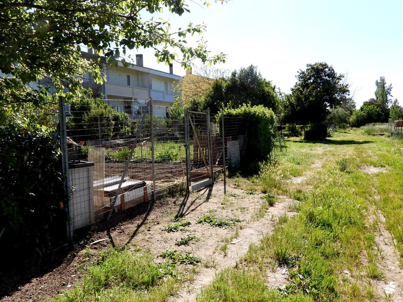 Area comunale ripulita senza permesso, assolti dodici cittadini