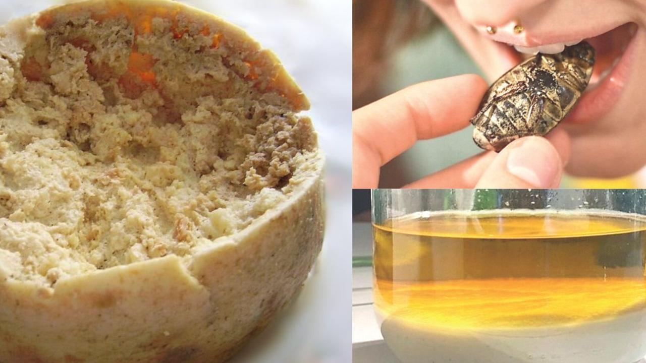 Il casu marzu finisce nel museo dei cibi più disgustosi del mondo