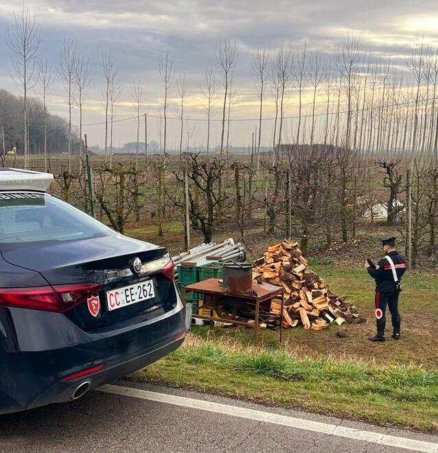 Copparo, tenta di rubare legna con l’auto del fratello. Scoperto un 30enne