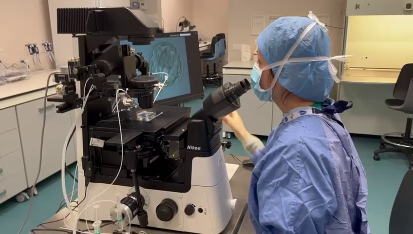 Fecondazione eterologa, social freezing e test genetici finalmente possibili in Sardegna