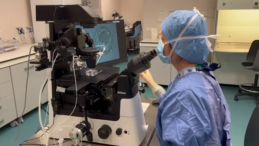 Fecondazione eterologa, social freezing e test genetici finalmente possibili in Sardegna