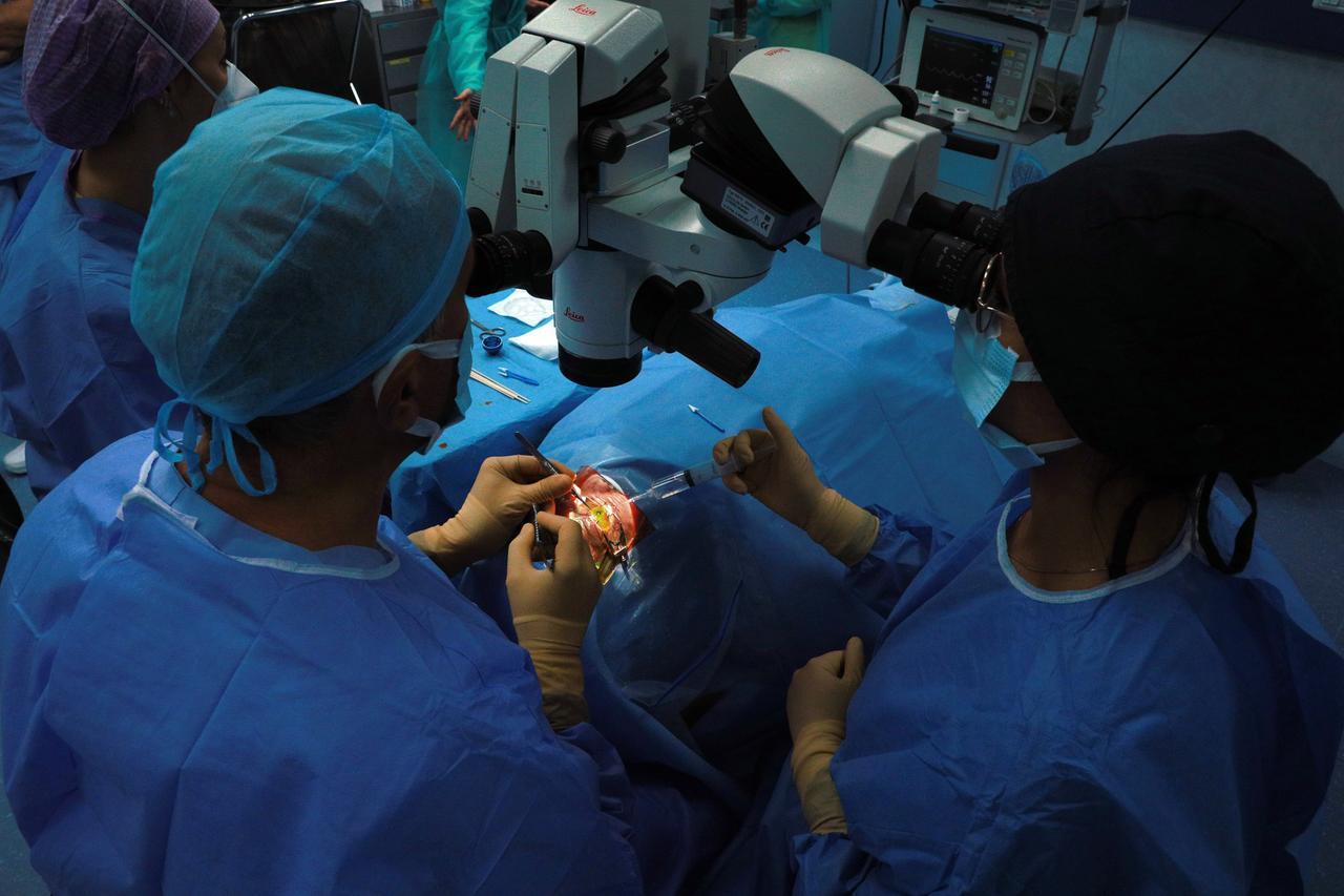 
	Un'operazione di microchirurgia (Foto: archivio)

