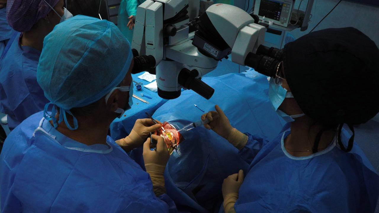 Un'operazione di microchirurgia (Foto: archivio)