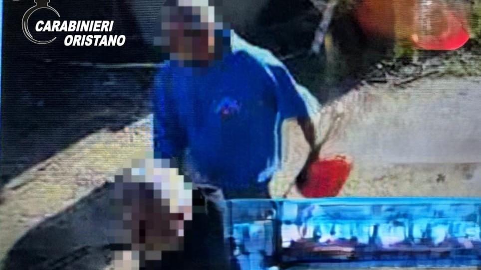 Rubano gasolio e attrezzi agricoli ma vengono ripresi dalle telecamere: due denunciati