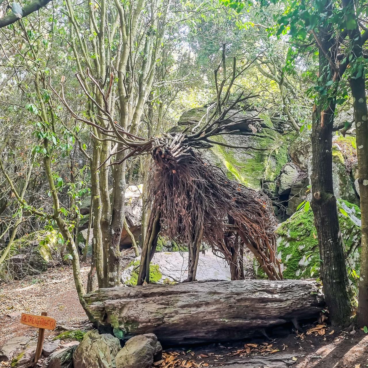 "Un bosco da fiaba” sul Monte Arci