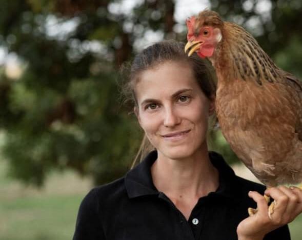 Un corso per imparare ad allevare le galline