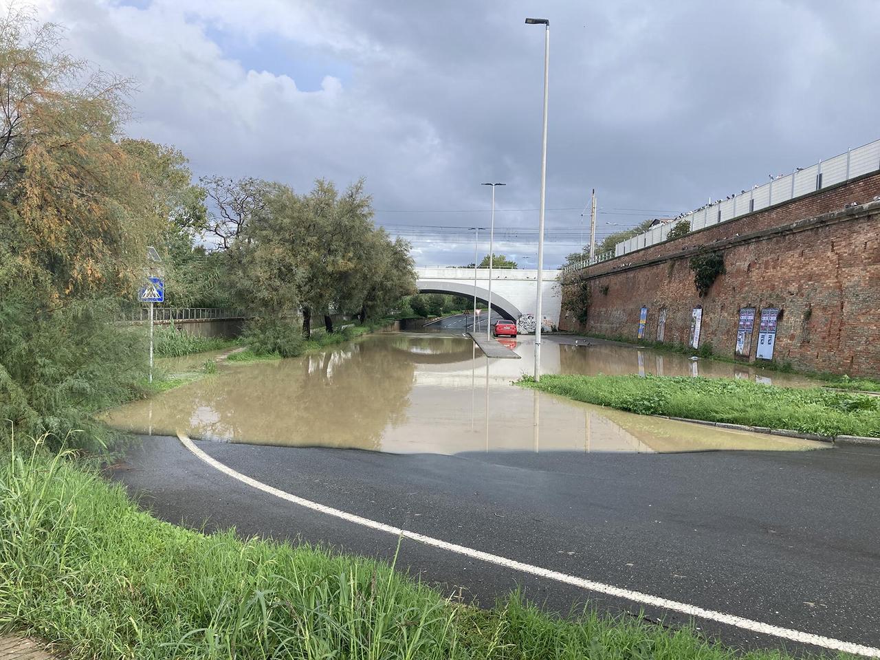 
	L'alluvione a Cecina

