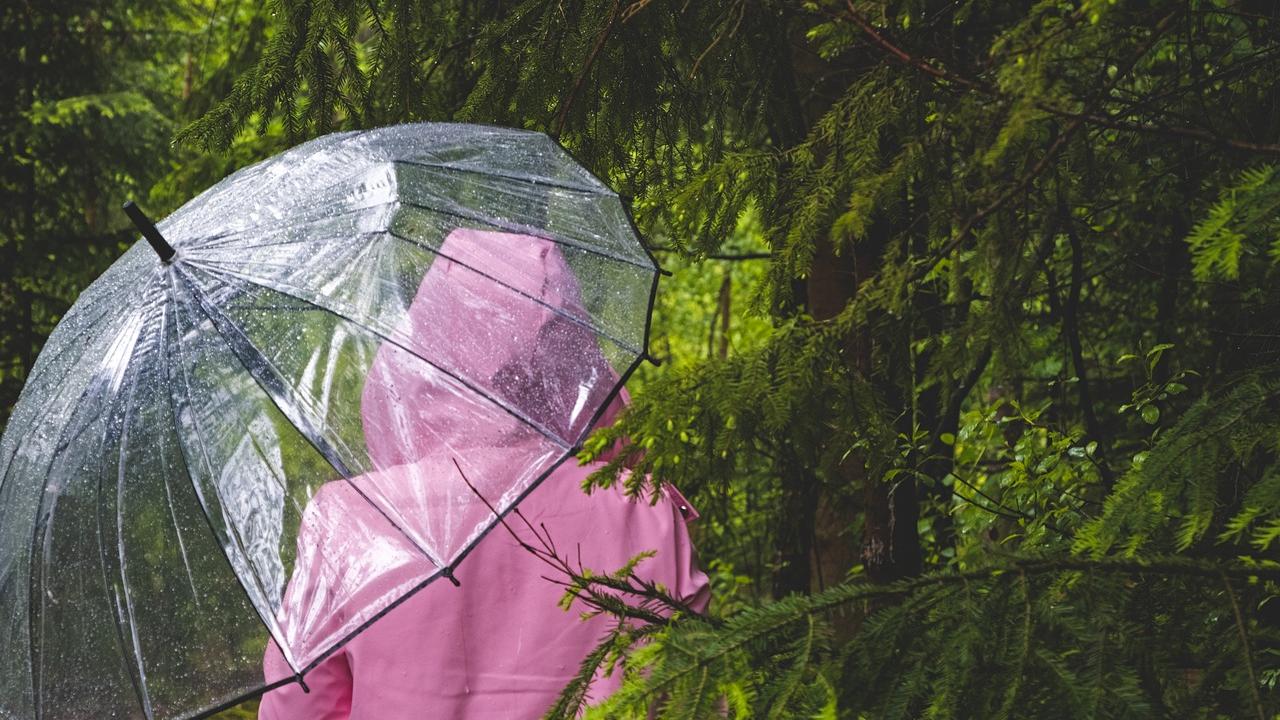 Meteo a Reggio Emilia: in arrivo cieli coperti e neve in quota