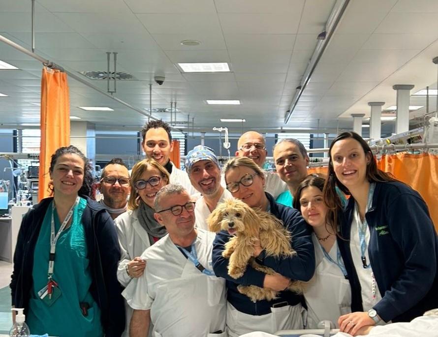 
	Il cane Milo coi sanitari del reparto di Terapia intensiva del Santo Stefano

