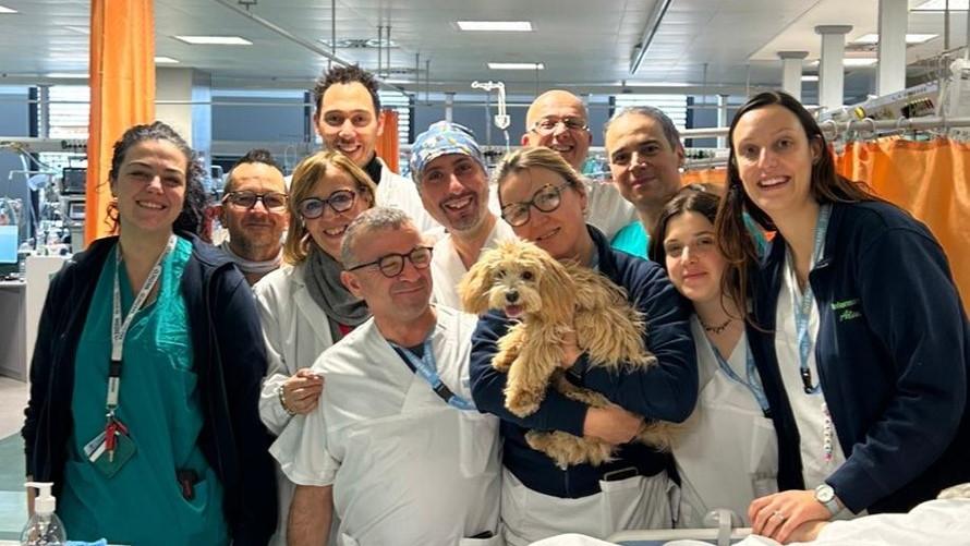 Il cane Milo coi sanitari del reparto di Terapia intensiva del Santo Stefano