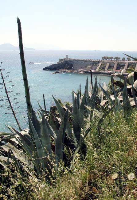 
	Una bella veduta di piazza Bovio (foto Paolo Barlettani 2007)

