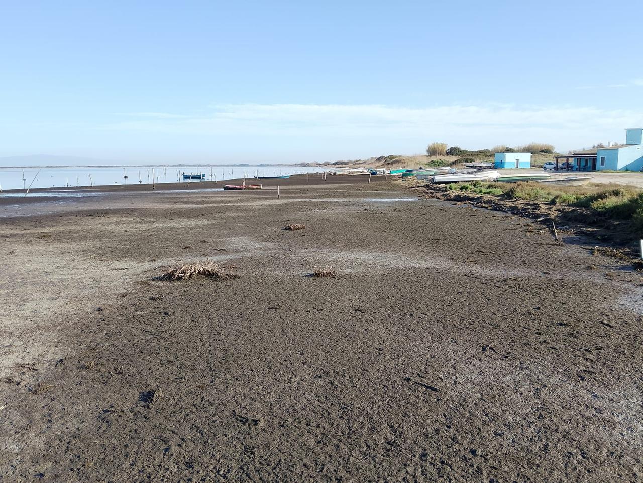 
	Lo stagno di Corru s'Ittiri

