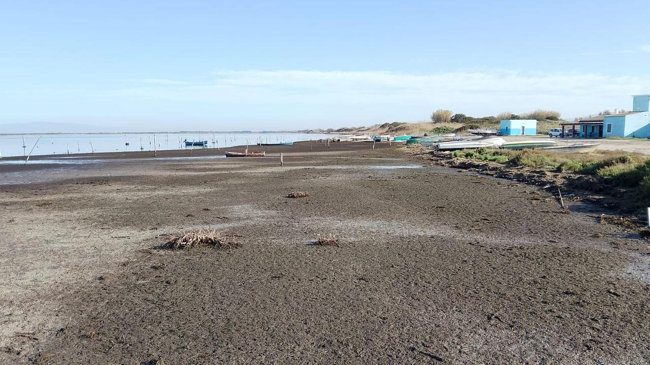 Lo stagno di Corru s'Ittiri