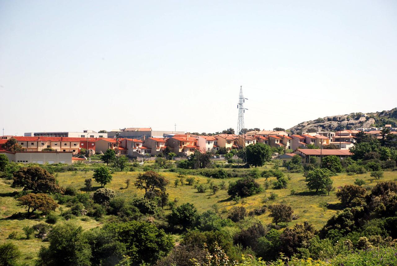 
	Veduta di Buddus&ograve;

