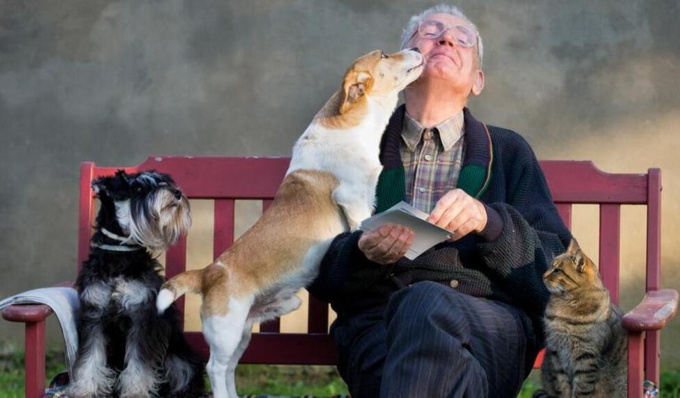 Animali  toccasana per over 65 «Visite mediche ridotte del 15%»